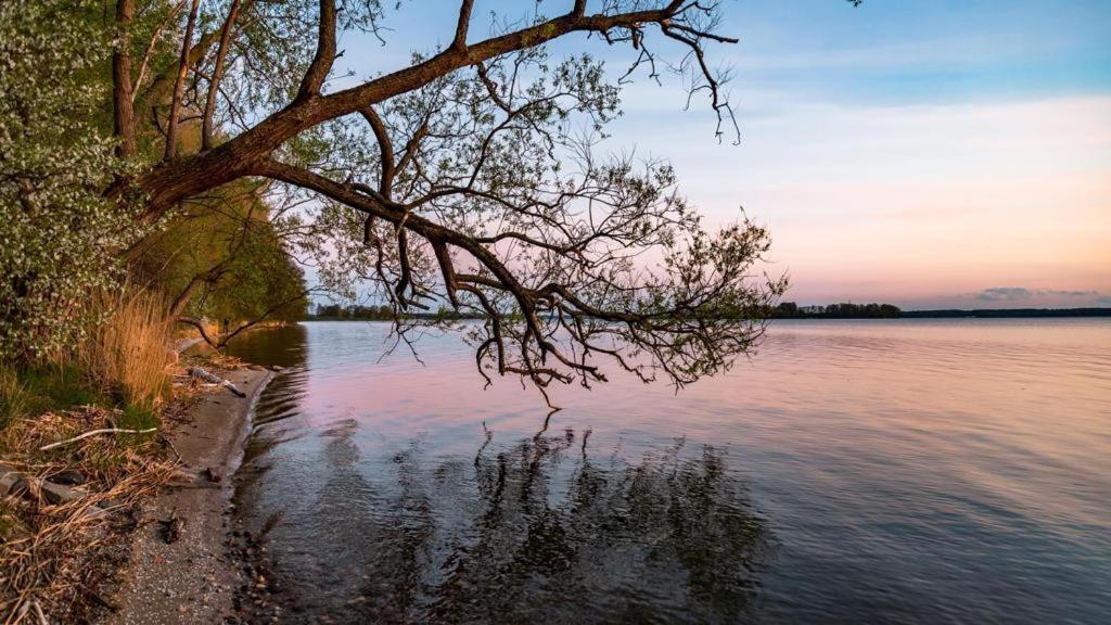 Gizycko-Przerwanki Domki Widok Na Mazury Buitenkant foto